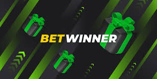 A Comprehensive Guide to Sports Betting
