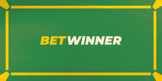A Comprehensive Guide to Sports Betting